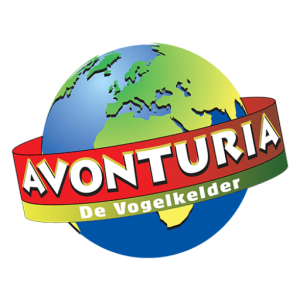 Avonturia