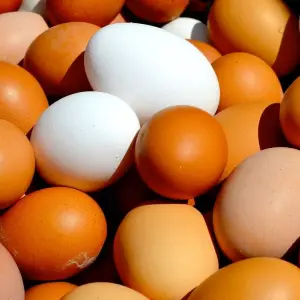 Scharreleieren van lokale kippenboeren: Henk Dank