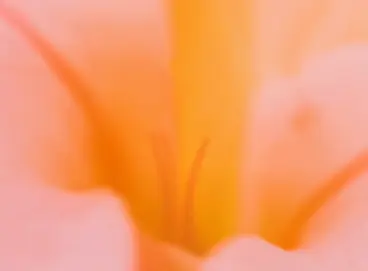Deep Flora