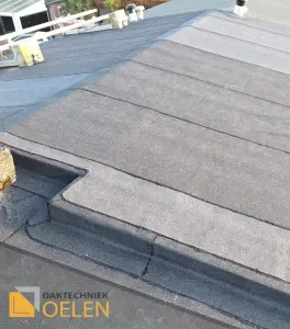 Dakrenovatie, kwaliteit dakbedekking, Daktechniek Oelen, uw dakdekkersbedrijf voor Hoogeveen en omstreken! Dakdekker Hoogeveen Dakdekker Coevorden Dakdekker Hollandscheveld Dakdekker Noordscheschut Dakdekker Elim Dakdekker Fluitenberg Dakde