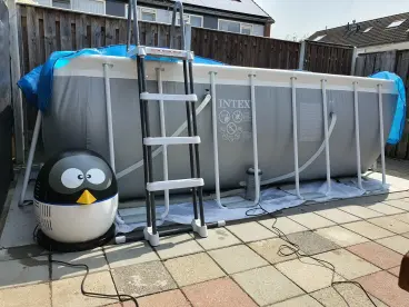 Een opblaasbare pinguïn zit naast een groot zwembad.