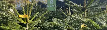 Afbeelding bij geïmporteerde advertentie