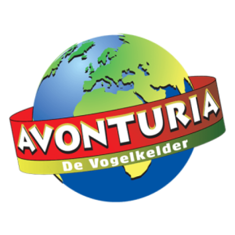 Avonturia