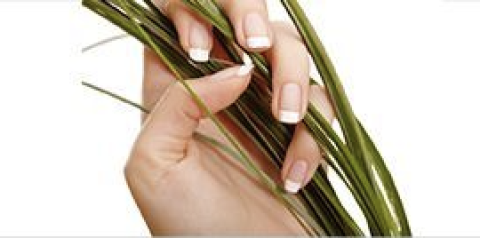 Flex Nail Design