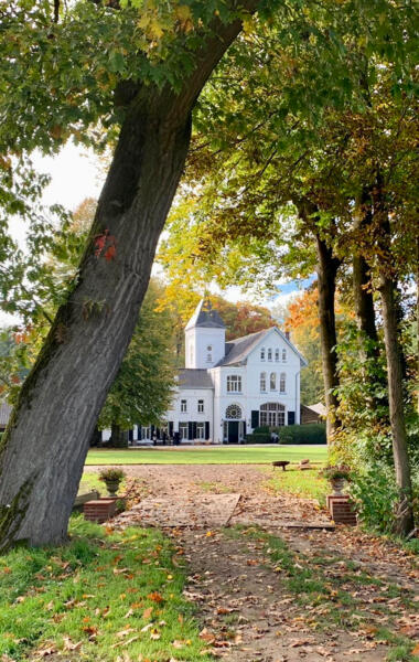 Kasteel vanuit Bos