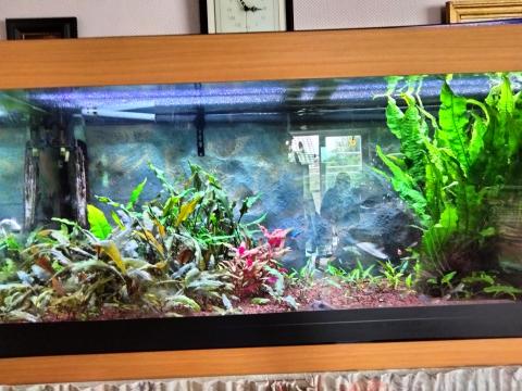 IMG20240617145309[1]