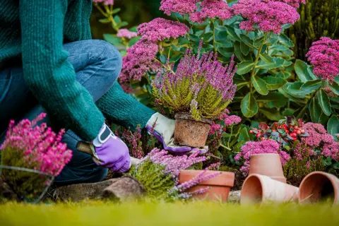 15 tuin- en balkontips voor september