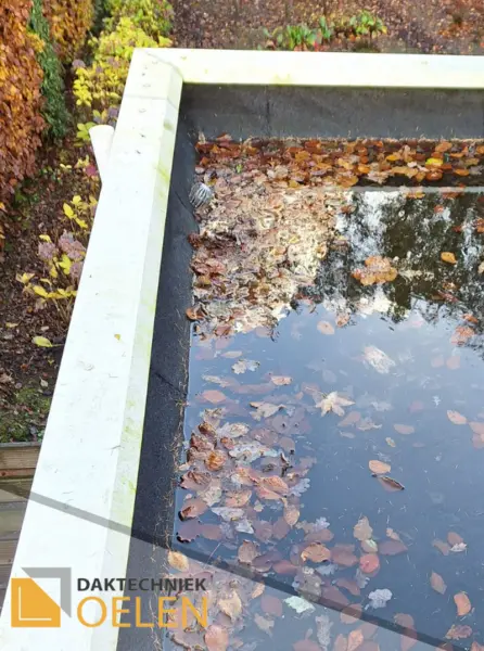 Dakonderhoud, verstopte afvoer, daklekkage, Daktechniek Oelen, uw dakdekkersbedrijf voor Hoogeveen en omstreken! Dakdekker Hoogeveen Dakdekker Coevorden Dakdekker Hollandscheveld Dakdekker Noordscheschut Dakdekker Elim Dakdekker Fluitenberg