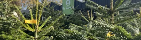 Afbeelding bij geïmporteerde advertentie