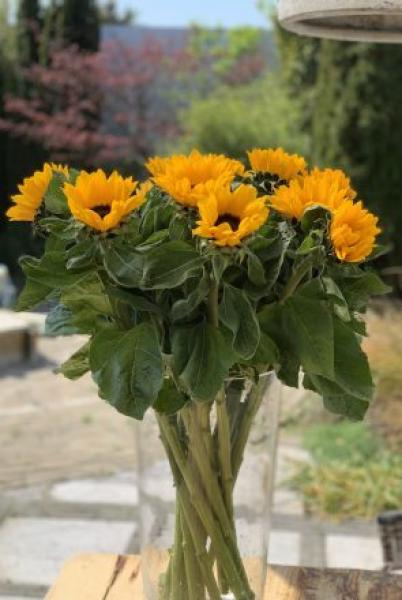 Zonnebloemen boeket 15 stuks