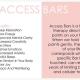 access bars 2