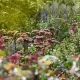 Tuinseizoen bijna voorbij? Nee joh! Ontdek de vierseizoenentuin