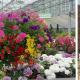 Beeker Tuincentrum - Beek