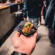 Foodhall_Breda_sfeer_02