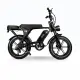 Fatbikes