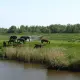 Bedrijfsuitje en teambuilding bij De Zilvermeeuw
