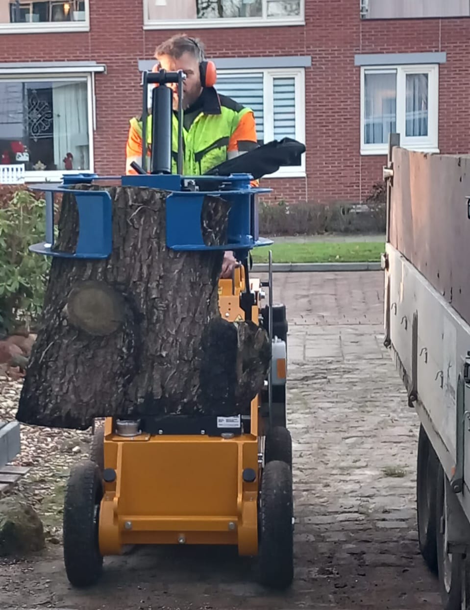 Timberman Boom en Landschap