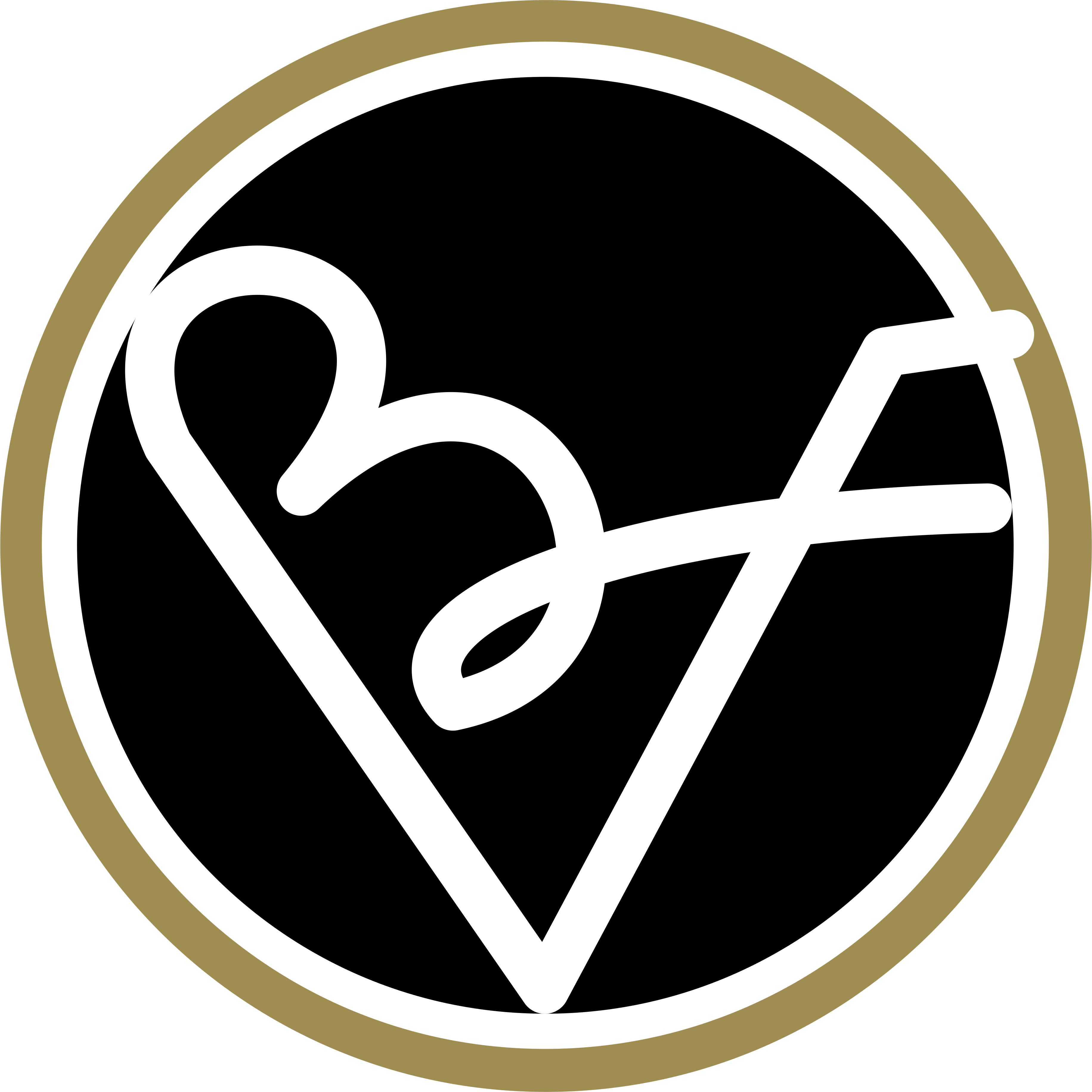 VITALINA STYLIST