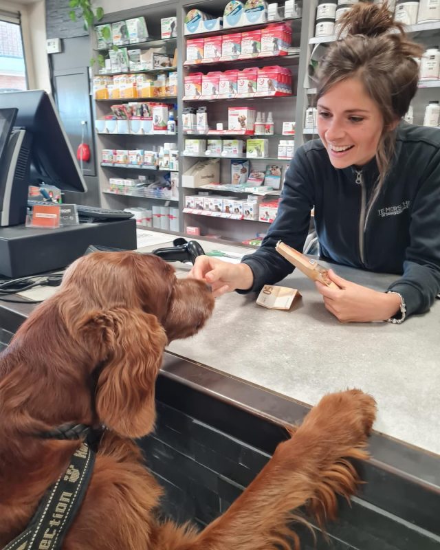 Alles voor je hond in Wierden met wassalon, voeding en speelotheek
