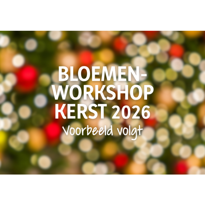 Kerstworkshop bloemen bij Tuincentrum Leurs Venlo op 10 en 11 december 2026